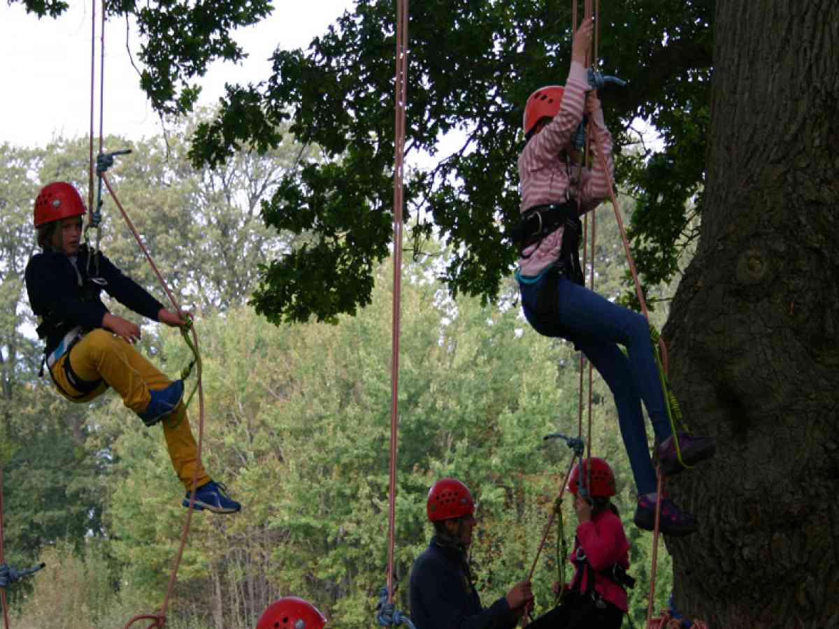 Goodleaf Tree Climbing picture gallery